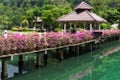 Bridge with flowers across the bay in a tropical garden