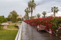 Bridge of Flowers, Valencia, Spain