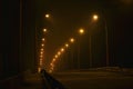 Bridge Fog Night Lighting Road Walk Royalty Free Stock Photo