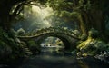 Bridge in the Forest: Beautiful Greenery View\