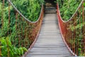 bridge in forest Royalty Free Stock Photo
