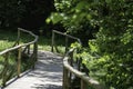 bridge in the forest that leads over a small stream photographed Royalty Free Stock Photo