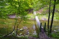 Bridge in forest over Cerna River, Romania Royalty Free Stock Photo