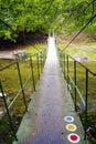 Bridge in forest over Cerna River, Romania Royalty Free Stock Photo