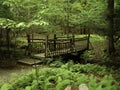 Bridge in the forest over a stream Royalty Free Stock Photo