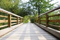 Bridge in forest path.