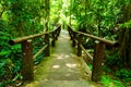 The bridge goes into the forest .