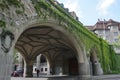 A bridge with green vines in Zurich