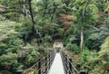 Bridge hanging Forest Trekking trail adventure Nature Landscape