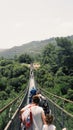 A bridge hanging ove a forest