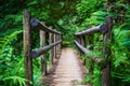 Bridge on hiking trail Royalty Free Stock Photo