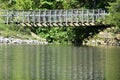 Bridge inside the forest that is reflected in the lake wate