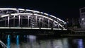 Bridge of the Japan night view in Tokyo