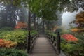 The Bridge in Japanese Garden Royalty Free Stock Photo