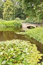 Bridge through the lake Royalty Free Stock Photo