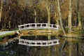 Bridge on the lake Royalty Free Stock Photo