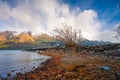 The bridge of lake Wakatipu taken in cloudy suset with long exposure at Glenorchy, Otago region, New Zealand. Royalty Free Stock Photo