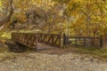 Bridge leading to the sunlit golden forest in Utah