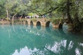 The bridge in libo zhangjiang scenic spots,guinzhou,china