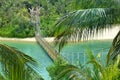 Bridge linking Palawan Beach to the Southernmost Point of Continental Asia Royalty Free Stock Photo