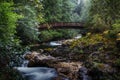 Bridge at Little Qualicum Falls Provincial Park Royalty Free Stock Photo