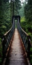 Spandrel Island Bridge: A Captivating Adventure Themed Photograph