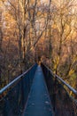 Bridge in Lullwater Park, Atlanta, USA Royalty Free Stock Photo