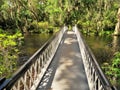 Bridge at Magnolia Plantation in Charleston, SC