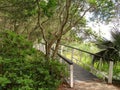 Bridge at Magnolia Plantation in Charleston, SC