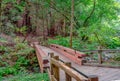 Bridge 1, Main Trail of Muir Woods National Monument. Mt Tamalpais, Marin County, CA Royalty Free Stock Photo
