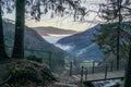 Black Forrest Valley with fog light from sun in the evening winter feeling Royalty Free Stock Photo