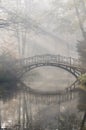 Bridge in misty morning