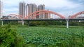 The bridge and modern city in SHENZHEN,CHINA,ASIA