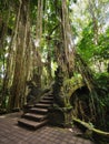 Bridge at Monkey Forest Sanctuary in Ubud, Bali, Indonesia