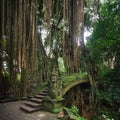 Bridge in monkey forest Ubud, Bali Royalty Free Stock Photo