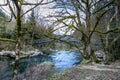 Bridge and mossy trees near saut du doubs waterfall