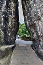 Bridge named Bastei in Saxon Switzerland Royalty Free Stock Photo