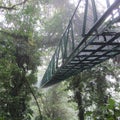 Bridge National Park Monteverde Costa Rica Rain Forest