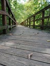 Bridge through nature Royalty Free Stock Photo