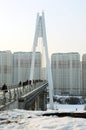 Bridge near the metro Myakinino