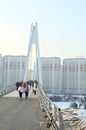 Bridge near the metro Myakinino