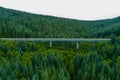 A bridge near Mount Saint Helens in Washington state Royalty Free Stock Photo