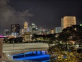 Bridge at night metropoli Royalty Free Stock Photo