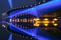 Bridge nocturne Royalty Free Stock Photo