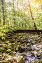 Bridge in Purgatory Chasm State Reservation on trail Berkshires, Massachusetts USA Autumn