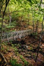 Bridge in Purgatory Chasm State Reservation on trail Berkshires, Massachusetts USA Autumn