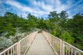 Bridge at Olmsted Island, at Great Falls, Chesapeake & Ohio Canal National Historical Park, Maryland. Royalty Free Stock Photo