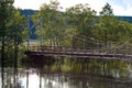 Bridge over the calm waters of a river alongside the green trees and mountains during the daytime Royalty Free Stock Photo