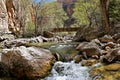 Bridge over the creek Royalty Free Stock Photo