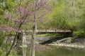 Bridge over creek Royalty Free Stock Photo